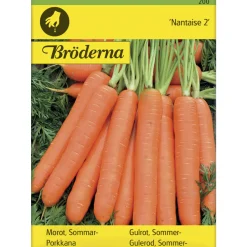Porkkana Nantaise 2 siemen Bröderna Nelsons