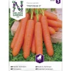 Porkkana siemen Nelson Garden Basic Nantaise 2