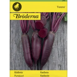 Punajuuri Forono pitkä siemen Bröderna Nelsons