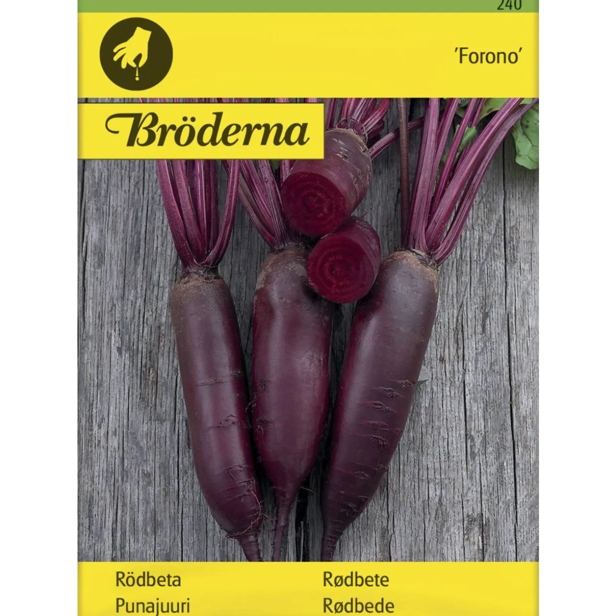 Punajuuri Forono pitkä siemen Bröderna Nelsons