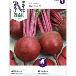 Punajuuri siemen Nelson Garden Basic Detroit 2