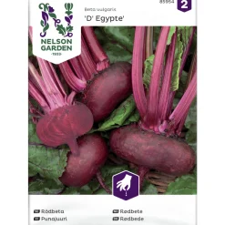 Punajuuri siemen Nelson Garden Basic D' Egypte
