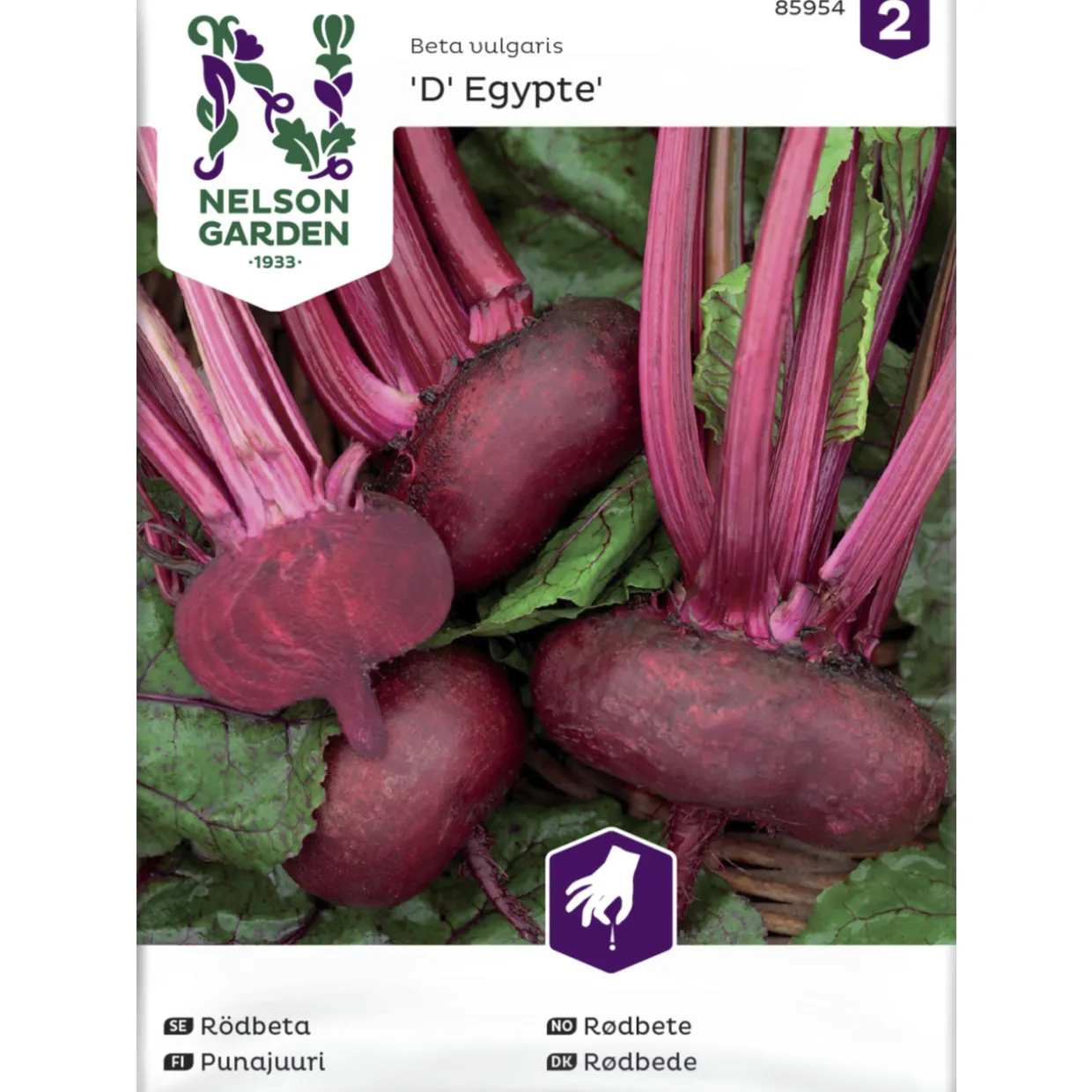 Punajuuri siemen Nelson Garden Basic D' Egypte