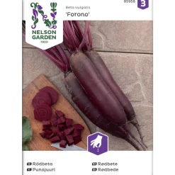 Punajuuri siemen Nelson Garden Basic Forono pitkä