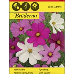 Punakosmoskukka Early Summer siemen Bröderna Nelsons