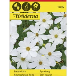 Punakosmoskukka Purity siemen Bröderna Nelsons