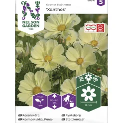 Punakosmoskukka siemen Nelson Garden Basic Xanthos