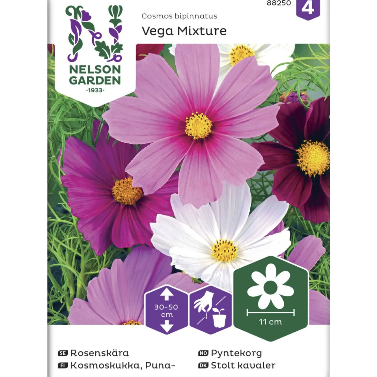 Punakosmoskukka siemen Nelson Garden Basic Vega Mixture
