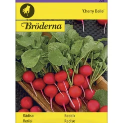 Retiisi Cherry Belle siemen Bröderna Nelsons