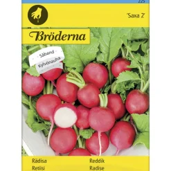 Retiisi Saxa 2 kylvönauha siemen Bröderna Nelsons