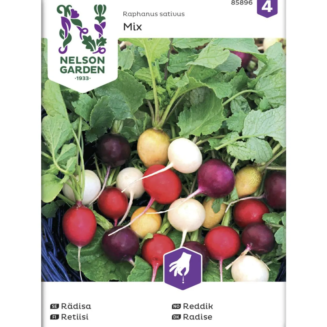 Retiisi siemenseos Nelson Garden Basic Purp. Pink Albena Zlata
