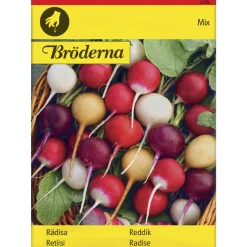 Retiisiseos Purp. Pink Albena Zlata siemen Bröderna Nelsons