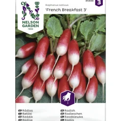 Retiisi siemen Nelson Garden Basic French Breakfast 3