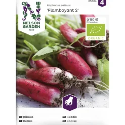 Retiisi siemen Nelson Garden Basic Flamboyant 2 Organic