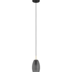 Riippuvalaisin EGLO Batista 40W Ø12cm mattaharmaa/harjattu messinki