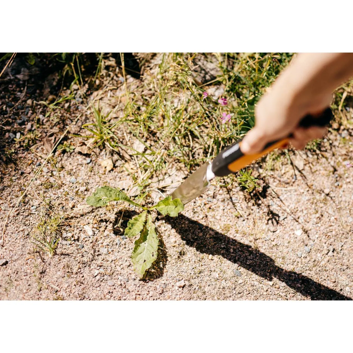Rikkaruohorauta Fiskars Xact