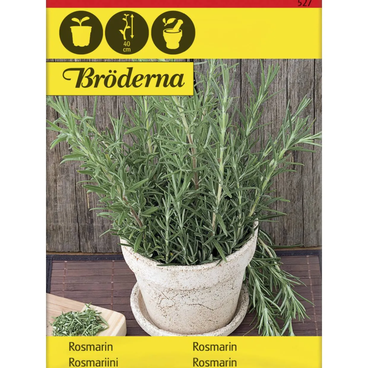 Rosmariini siemen Bröderna Nelsons