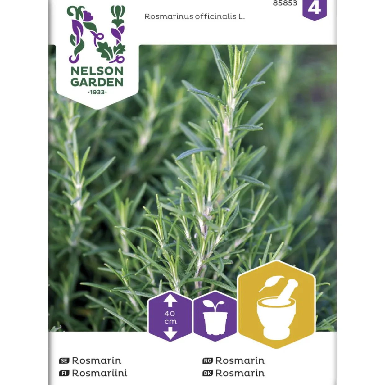 Rosmariini siemen Nelson Garden Basic