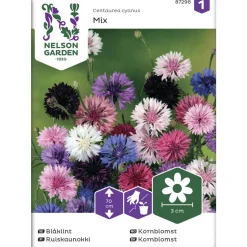 Ruiskaunokki siemen Nelson Garden Basic väriseos