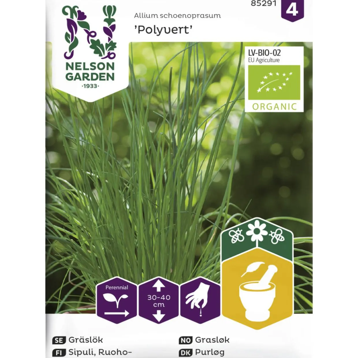 Ruohosipuli siemen Nelson Garden Basic Tavallin Organic