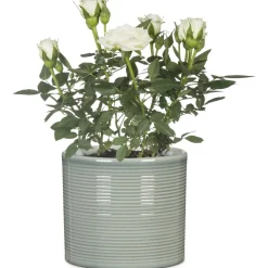 Ruukku Scheurich 828 14 cm salvianvihreä