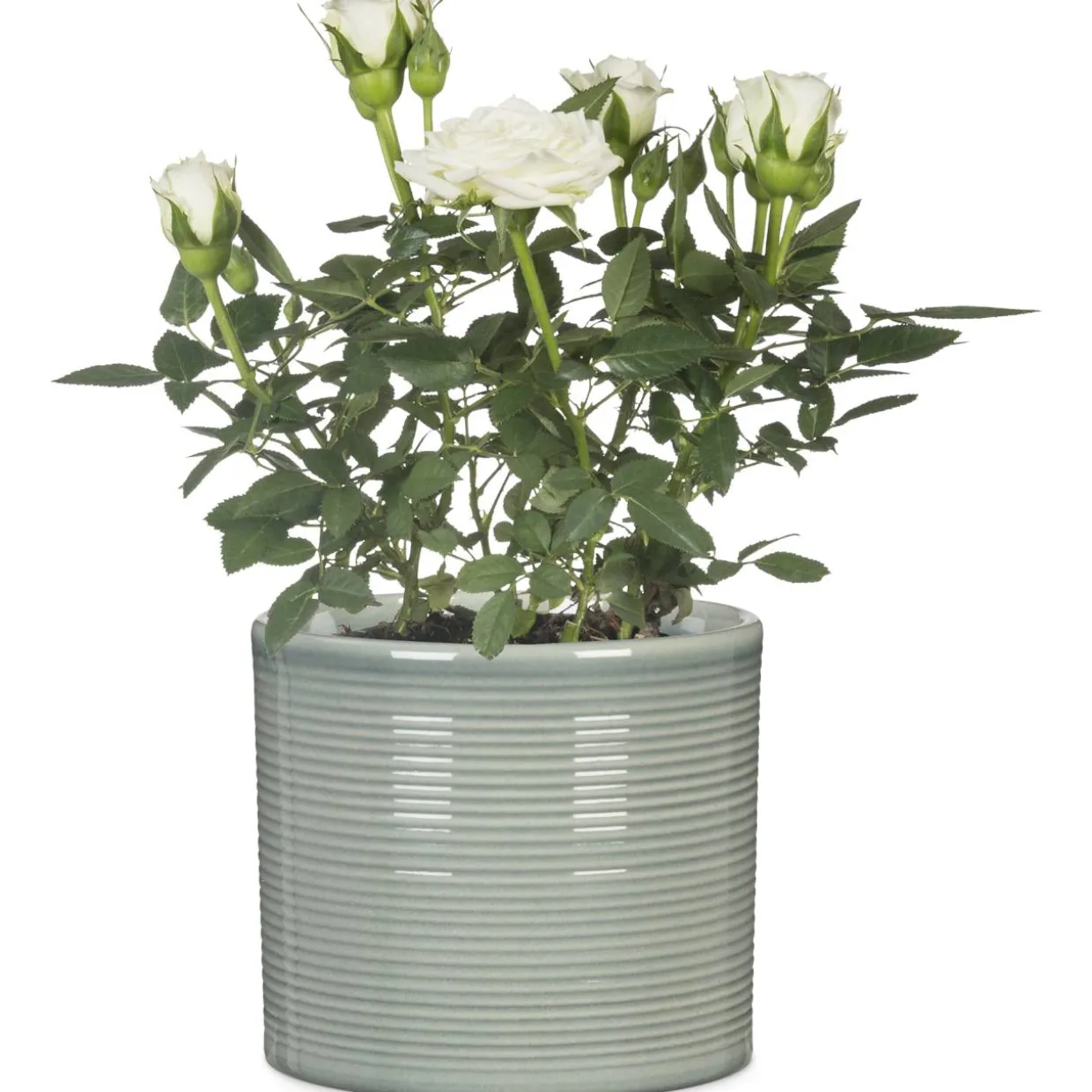 Ruukku Scheurich 828 19 cm salvianvihreä