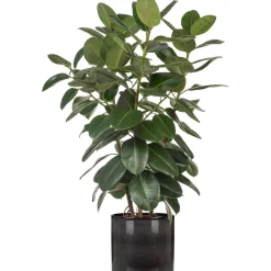 Ruukku Scheurich 828/14 harmaa