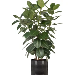 Ruukku Scheurich 828/12 harmaa