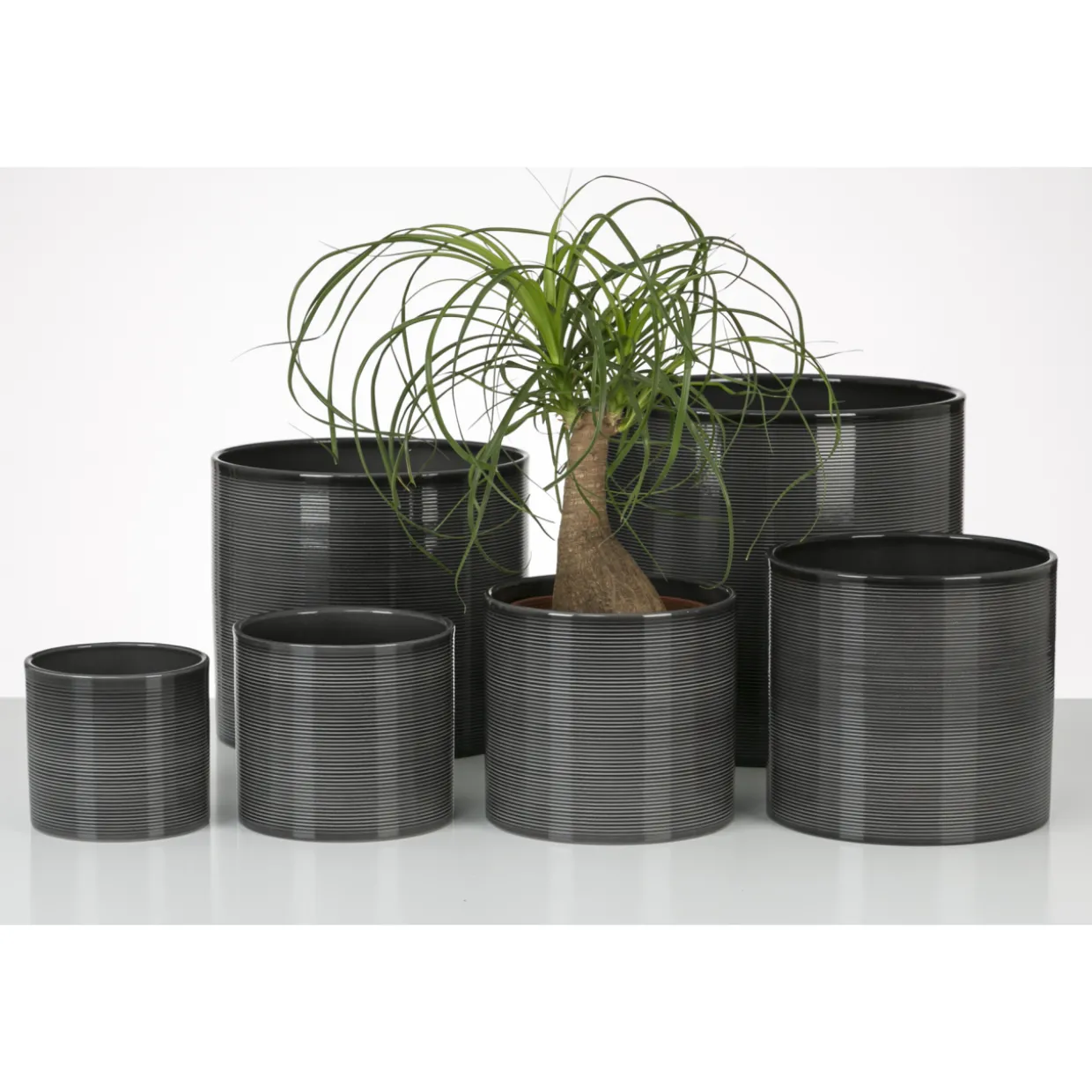 Ruukku Scheurich 828/12 harmaa
