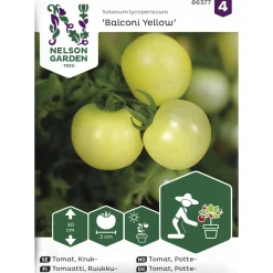Ruukkutomaatti siemen Nelson Garden Basic Balconi Yellow