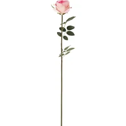 Ruusu Kotikulta 59 cm vaaleanpunainen