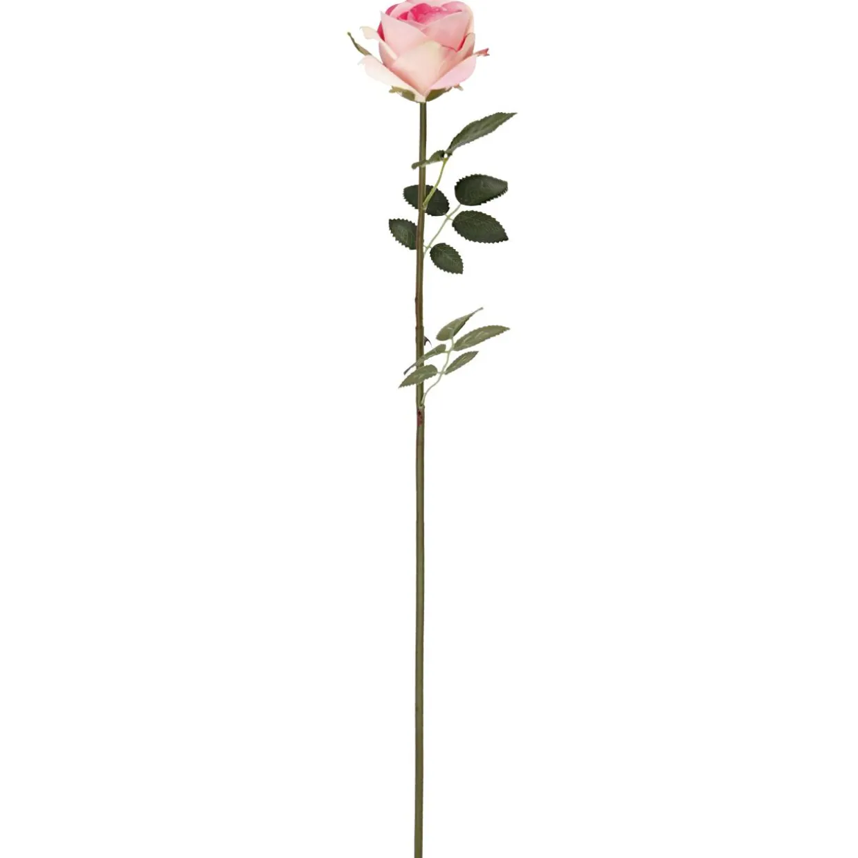 Ruusu Kotikulta 59 cm vaaleanpunainen