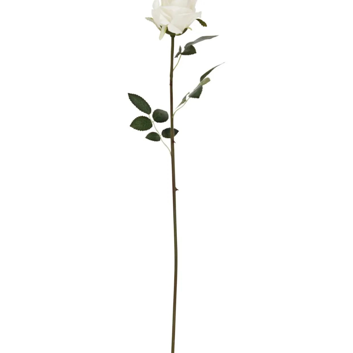 Ruusu Kotikulta 59 cm valkoinen
