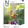 Ruusupapu siemen Nelson Garden Basic Lady Di Organic
