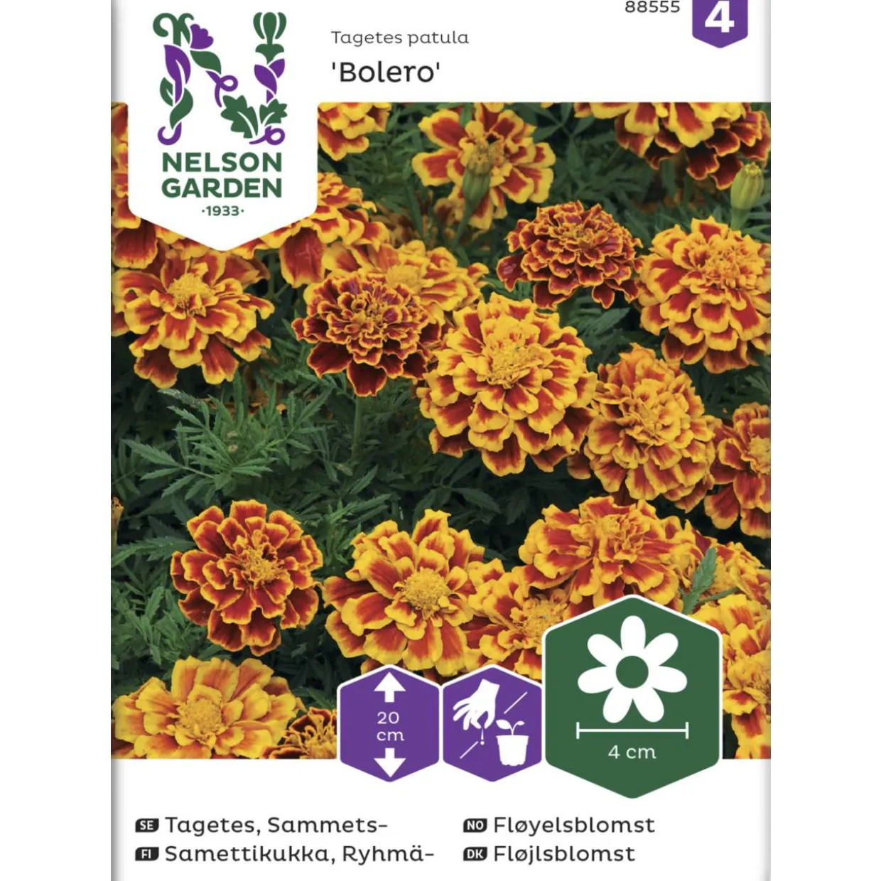 Ryhmäsamettikukka siemen Nelson Garden Basic Bolero
