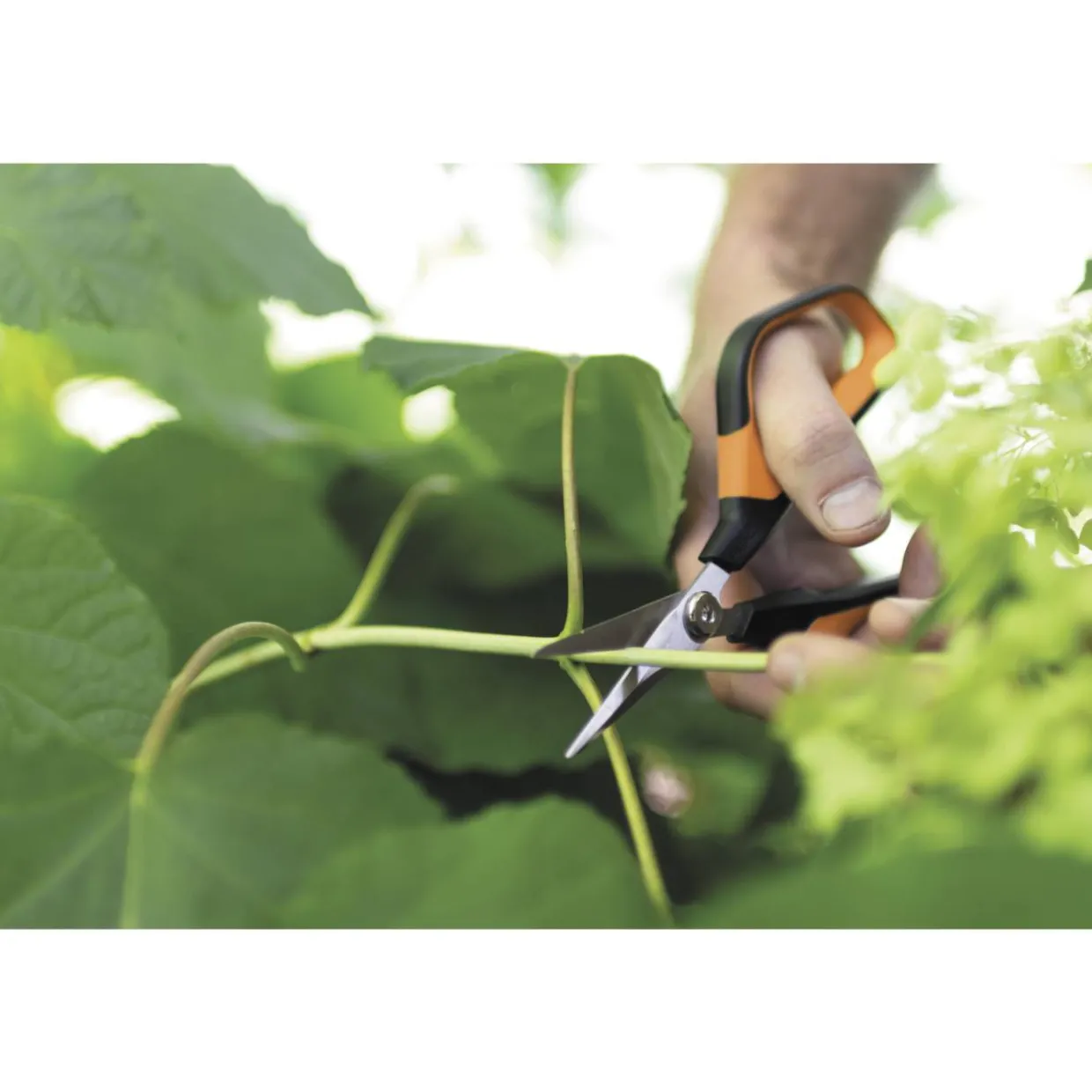 Sakset Fiskars Solid Snip SP150