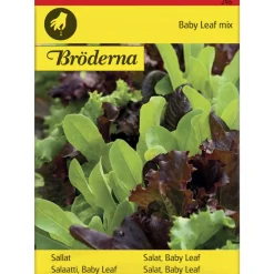 Salaatti Baby Leaf Seos siemen Bröderna Nelsons
