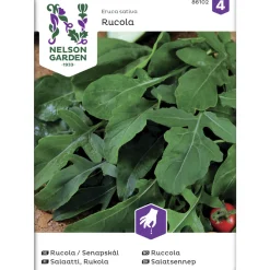 Salaatti siemen Nelson Garden Basic Rukola