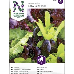 Salaatti siemenseos Nelson Garden Basic Baby Leaf