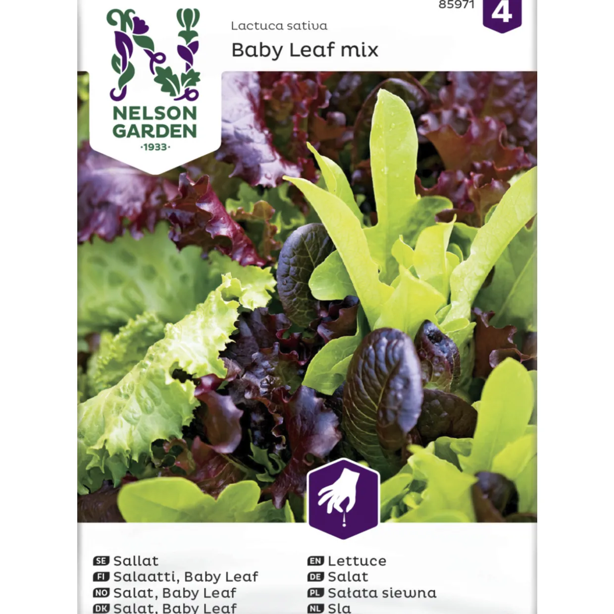 Salaatti siemenseos Nelson Garden Basic Baby Leaf