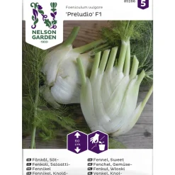 Salaattifenkoli siemen Nelson Garden Basic Preludio F1