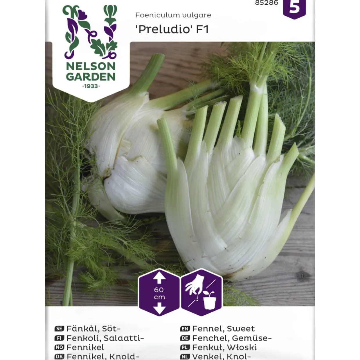 Salaattifenkoli siemen Nelson Garden Basic Preludio F1