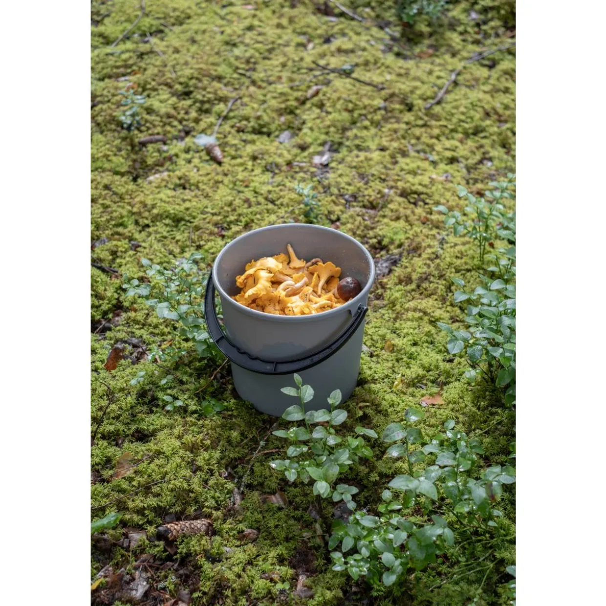 Sanko Orthex 10 l kivenharmaa