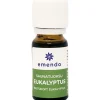 Saunatuoksu 10 ml eukalyptus