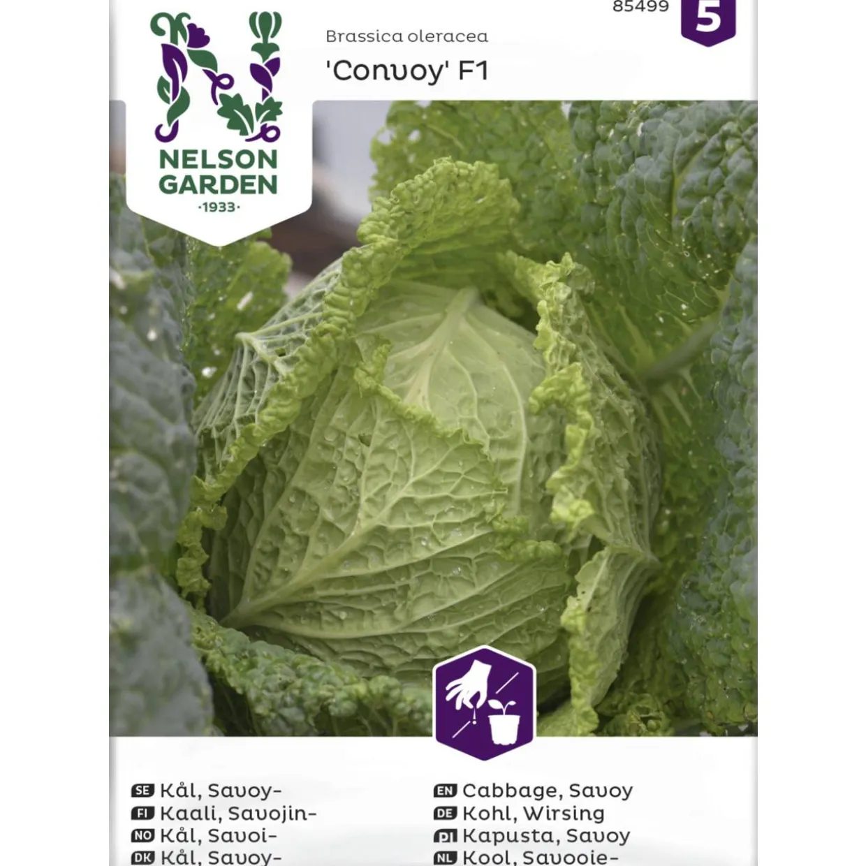 Savojinkaali siemen Nelson Garden Basic Convoy F1