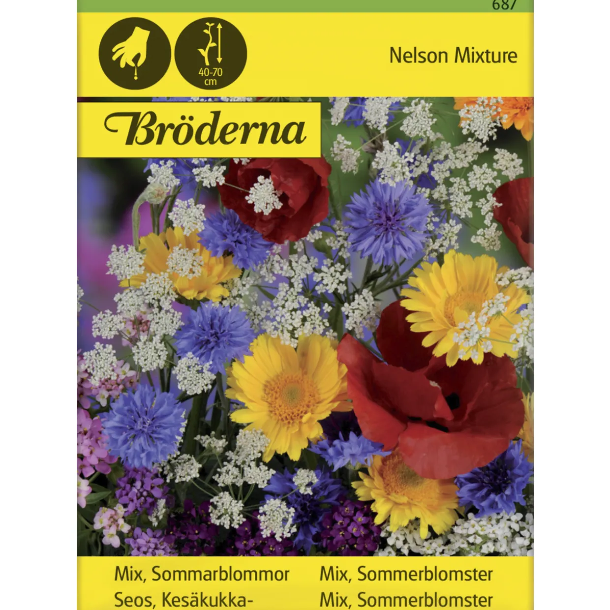 Seos Kesäkukka siemen Bröderna Nelsons