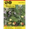 Seos Köynnöskukkia- siemen Bröderna Nelsons