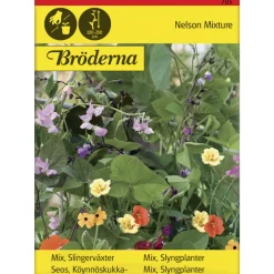 Seos Köynnöskukkia- siemen Bröderna Nelsons