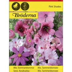 Seos Roosanvärisiä kesäkukkia siemen Bröderna Nelsons