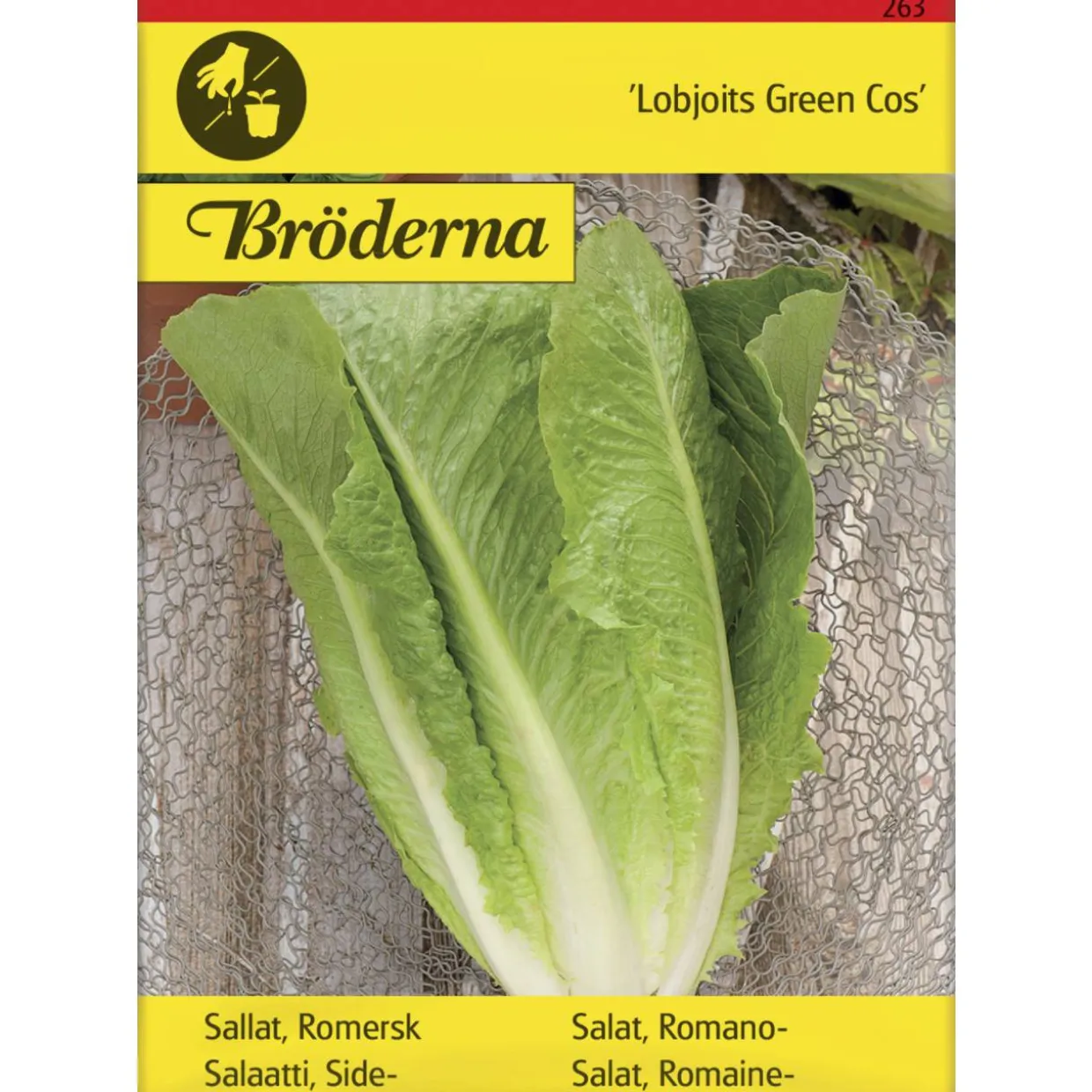 Sidesalaatti Lobjoits Green Cos siemen Bröderna Nelsons